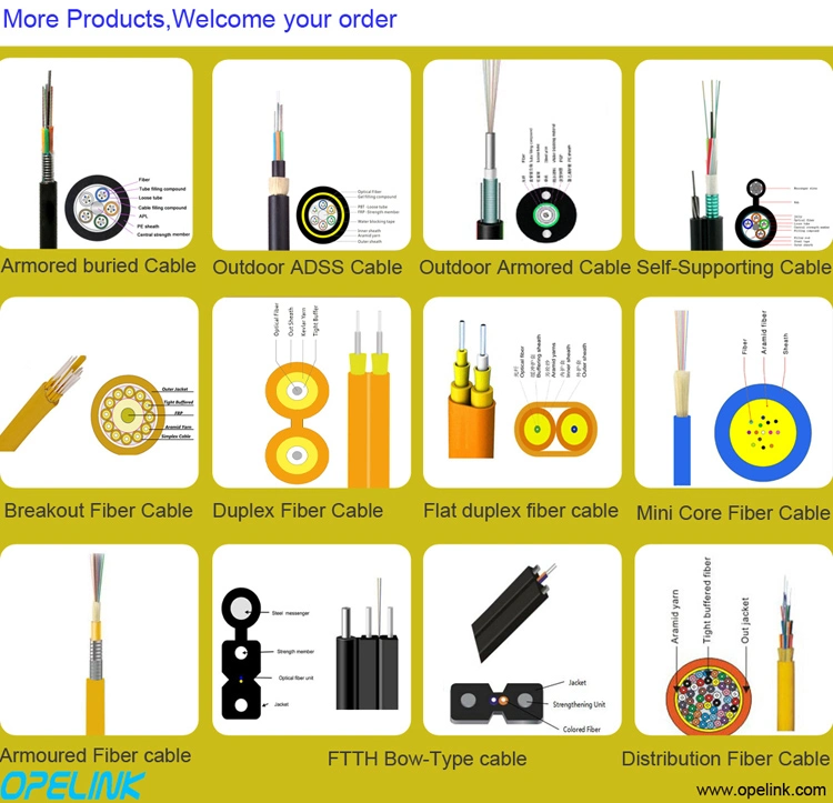 Factory Supply Direct Burial Steel Armoured Fiber Optic Cable GYXTW53